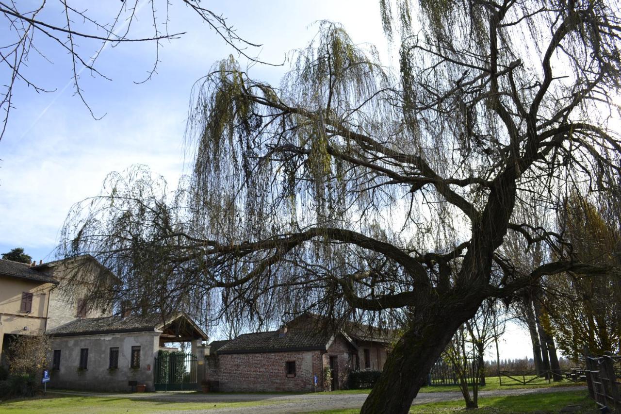 Agriturismo Fiamberta Bed & Breakfast Certosa di Pavia Bagian luar foto